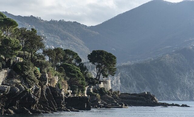 Ile kosztuje kostka brukowa 6 cm?