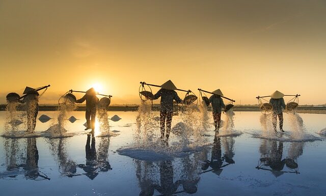 Czy sól niszczy kostkę brukową?