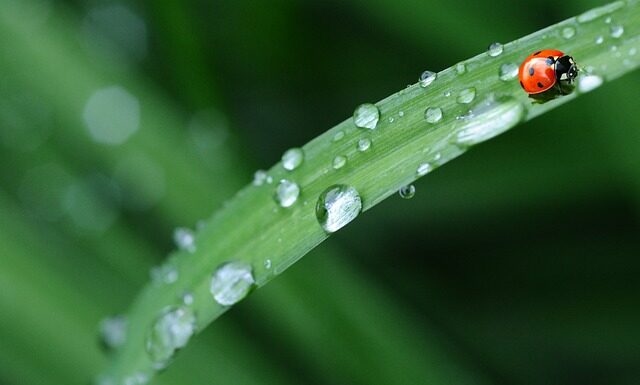 Czy pościel flanelowa się Mechaci?